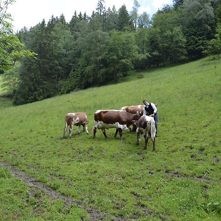 Panoramapension Lerchner Bad Kleinkirchheim Bagian luar foto