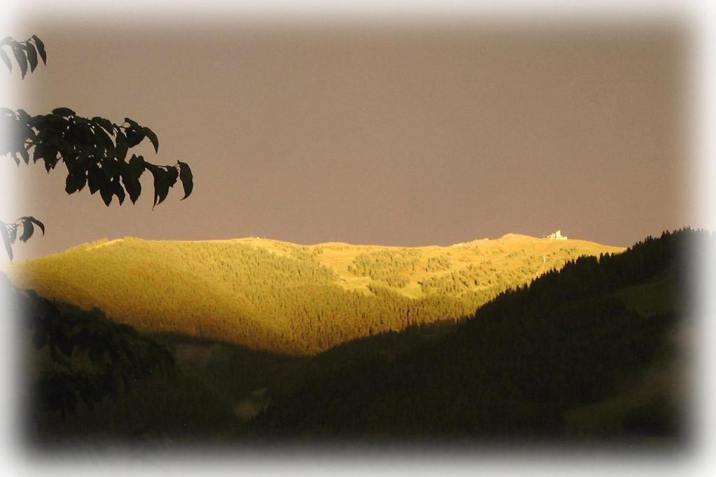 Panoramapension Lerchner Bad Kleinkirchheim Bagian luar foto